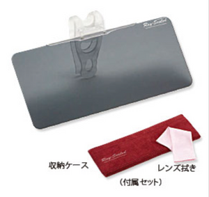 Polarization Sun Visor