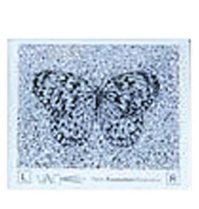 Stereo Butterfly Test (Random Dot)