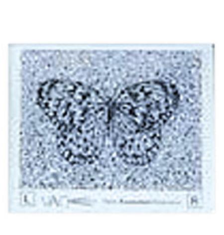 Stereo Butterfly Test (Random Dot)